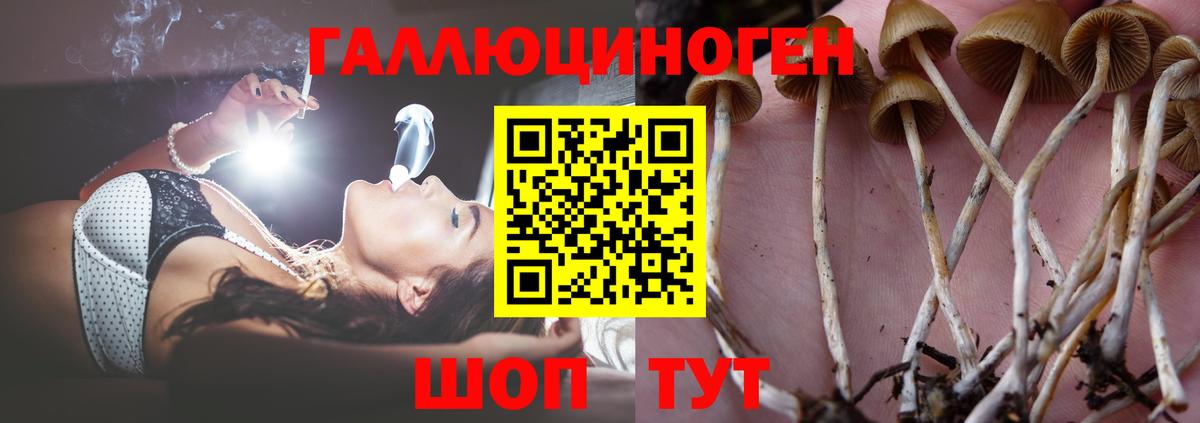 Псилоцибиновые грибы мухоморы Ейск